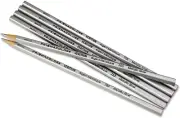 Prismacolor Verithin Colored Pencils, Metallic Silver, Dozen by Prismacolor