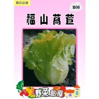 在飛比找蝦皮購物優惠-【野菜部屋~】B06 福山萵苣種子3.6公克 , 又名大陸妹