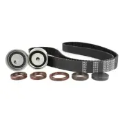 DNJ TBK136 Engine Timing Belt Component Kit For Select 99-10 Hyundai Kia Models (for: Kia)