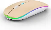 [WREANU] Wireless Bluetooth Mouse - Rechargeable Laptop Mice with LED Lights Silent Dual Mode(Bluetooth 5.2 & 2.4G Portable USB) - Computer Mouse for Laptop/iPad/Tablet/Apple/Computer/Mac(Gold)