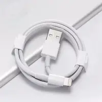 在飛比找蝦皮購物優惠-富士康 Lightning Iphone 充電線 -5ic