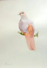 Dove, Birds, Watercolor artwork, Handmade, Original painting on paper