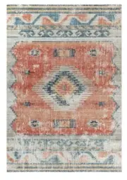 Cecelia Tribal Boho Distressed Rust Red Outdoor Indoor Floor Rug - 3 Sizes
