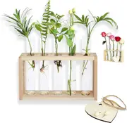 Hydroponic Plant Stand Terrarium DIY Kit