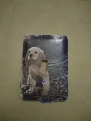 COCKER SPANIEL DOG SINGLE LIGHT SWITCH WALL COVER