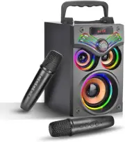 Karaoke Machine Portable Bluetooth Karaoke Speaker with 2 Wireless Microphone