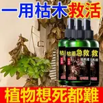 正品 植物通用 枯萎急救液 一噴活 植物復活靈 營養液 起死迴生 爛根死根強力復活