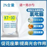 2%氯吡脲 KT-30 膨果 龍調吡龍吡 效隆乳粉 水溶性好  膨果肥 果樹專用