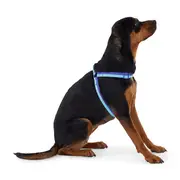 Juni Duo Step In Dog Harness Blue Purple