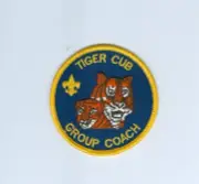BSA Tiger Cub Group Coach badge plastic over gauze back