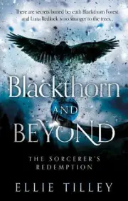 Blackthorn and Beyond: The Sorcerer's Redemption by Ellie Tilley