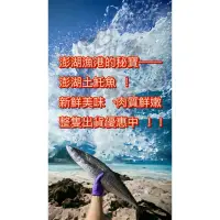 在飛比找蝦皮購物優惠-【溫久水產】澎湖土魠魚 整隻賣場