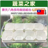 在飛比找momo購物網優惠-【蔬菜之家】景天八角多肉栽培組合4.5吋5號(含景天八角盆4