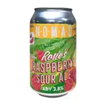 Nomad Rosie Raspberry Sour Can 330mL