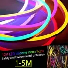 12V Waterproof Tube Home Bar Decorate LED Neon Flex String Rope Night Lights DC