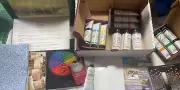 Gamblin Oil Painting System ACCENTS ON LANDSCAPE NEW Complete Kit DVD Paint ++