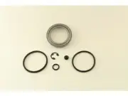 Rear Caliper Repair Kit For 2021-2022 Ford F150 NR681BP (for: Ford)