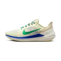 在飛比找Yahoo奇摩購物中心優惠-Nike Winflo 9 Premium 男鞋 藍白綠 路