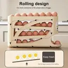 Egg Dispenser Slide-style Box Multi-layer Fridge Storage Rack