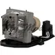 Optoma ◎BL-FU190D原廠投影機燈泡 for W305ST、X305ST、GT760