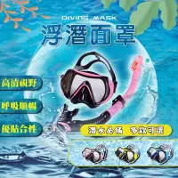 在飛比找蝦皮商城精選優惠-網紅爆款💯 潛水鏡 浮潛 呼吸管套裝 男女 新款 大框硅膠麵