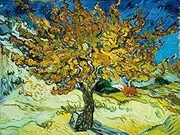 Mulberry Tree Poster Print by Vincent Van Gogh (22 x 28)