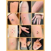 Pivoine - Piece of 30: Cartoon Waterproof Temporary Tattoo As Figure - One Size