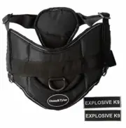 Dean & Tyler Fun Works Harness Explosive K9 34-inch to 47-inch Girth w/ Leash 6'