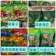 翠菓子、泰泉 南棗核桃糕、盛香珍 蒜香青豆、海龍王 竹炭花生 團購 熱門 年節 伴手禮 下午茶 點心 露營【達興食品】