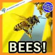 Bees!: A My Incredible World Picture Book for Children