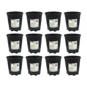 12PK Antheia Green Homewares Growers Black Pot Plant Container Plastic 13cm