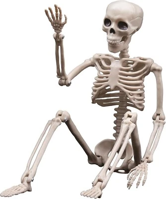 16" Halloween Skeleton Decoration Posable Plastic Full Body Props Movable Joints