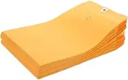 TEMPNAP 100pcs Clasp Envelopes for Document Storage and Mailing Lightweight Kraft Secure Gummed Closure for Office School and Home Use