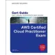 Aws Certified Cloud Practitioner (Clf-C01) Cert Guide