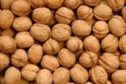 AUSTRALIAN WALNUTS (VIC) IN SHELL 1KG - FREE POST