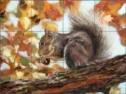 Squirrel Tile Backsplash Debbie Hughbanks Animal Art Ceramic Mural DHA028