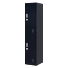 Salvatore Angelotti Black 2-Door Locker for Office Gym Shed School Home Storage