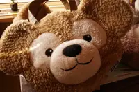在飛比找Yahoo!奇摩拍賣優惠-【絕版】Duffy 臉型包 日本帶回 正版迪士尼Duffy 