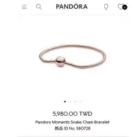 在飛比找蝦皮購物優惠-Pandora Moments Snake Chain Br