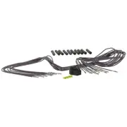 Instrument Panel Dimmer Switch Connector WVE 1P1612
