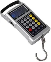 NWKHRSO Luggage Scale Mini Portable Crane LCD Digital Electronic Hook Hanging Scale Loop Weighing Scale Fishing Hook Scale Travel Postcard di