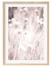 [Profile Australia] Australian Made Soft Tone Grass Art Print A1 in Natural Frame