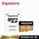 Gigastone Data Recovery 256GB microSDXC UHS-I A2 U3 資料救援記憶卡(Game Turbo高速卡)