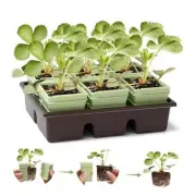 Green Bazzar Side-Open Seed Starter Tray 4-Pack, 24 Cells Modular Design with 1
