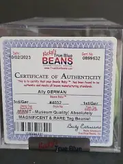 Ty Beanie Babie Ally MAGNIFICENT AND RARE Swing Tag 3rd Gen Tush 1st Gen Baby