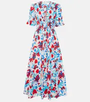 [Diane von Furstenberg] Diane von Furstenberg Avery floral cotton-blend maxi dress AU 16 red