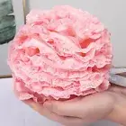Bath Mesh Brush Convenient Anti-deformed Body Scrubber Bath Mesh Brush Exquisite