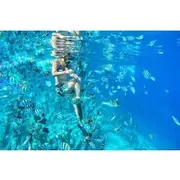 Save 20.00%! Half-Day Private Guided Snorkeling Turtles Underwater Statues