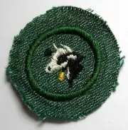 RARE Vintage 1948-1955 Girl Scout DAIRYING BADGE Holstein Dairy Cow Patch BMG