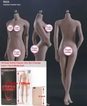 Tbleague S09C 1/6 Flexible Big Bust Seamless Woman Figure Suntan Body F 12" Doll